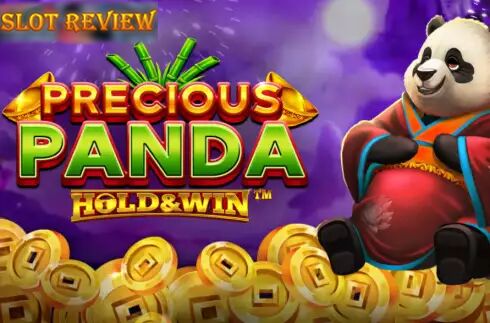 Precious Panda Hold & Win Slot Review